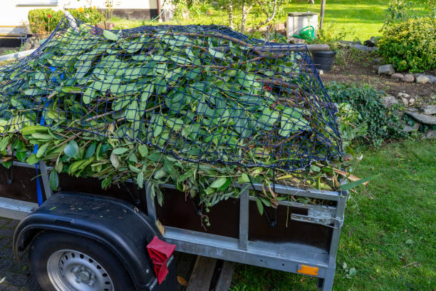 Best Hoarding Cleanup  in Pinebluff, NC